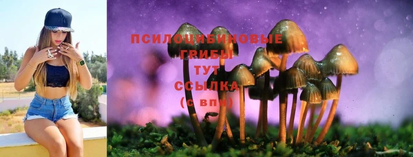 мяу мяу мука Бугульма