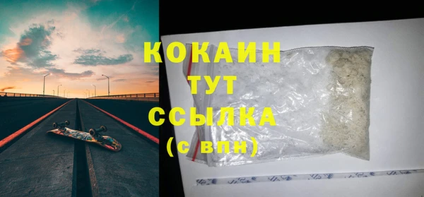 сатива Бородино
