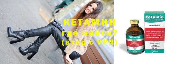 сатива Бородино