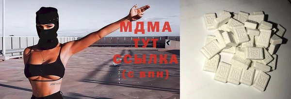 сатива Бородино