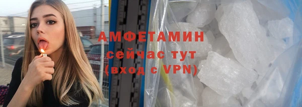 сатива Бородино