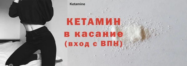 сатива Бородино