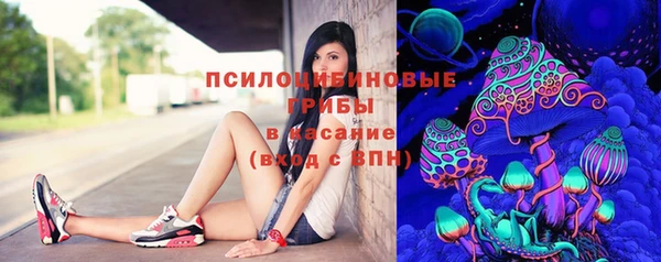 мдма Богданович
