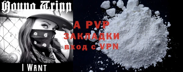сатива Бородино