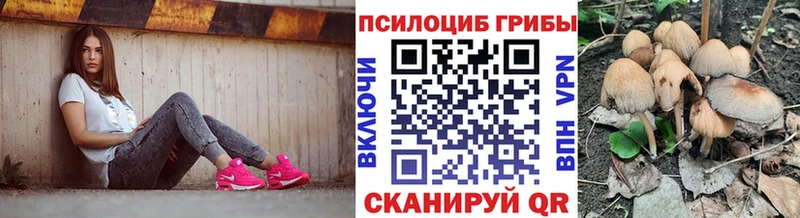 kraken вход дарнет шоп Горнозаводск Псилоцибиновые грибы мицелий